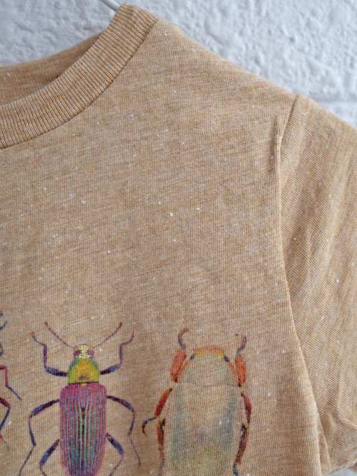 ベルギー子供服 AMERICAN OUTFITTERS アメリカンアウトフィッターズ AO76 プリントネップTシャツ