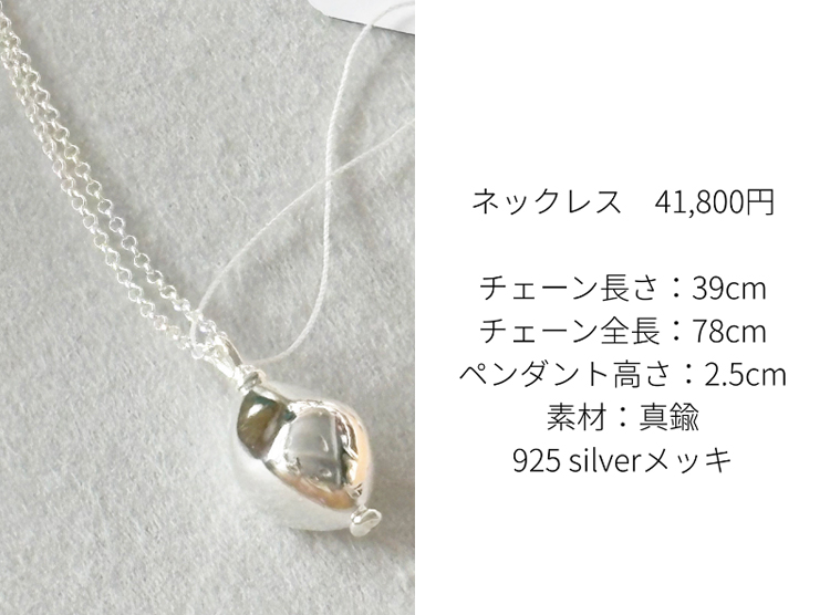 soeur エッセンシャルなアクセサリー ピアス　ネックレス