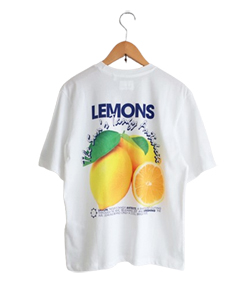 bellerose kids ボーイズ定番Tシャツ　KENNY